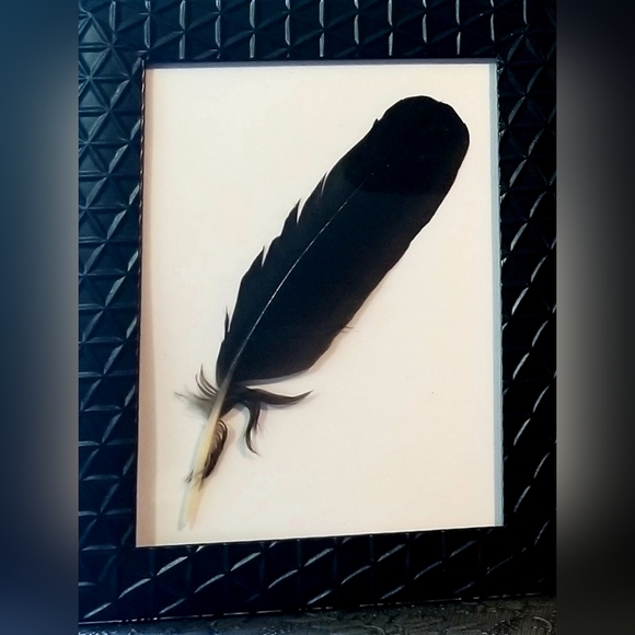 Featherart 5×7 Framed Black Feather Dtand Alone or Hang/ Black Collection - Picture 4 of 5